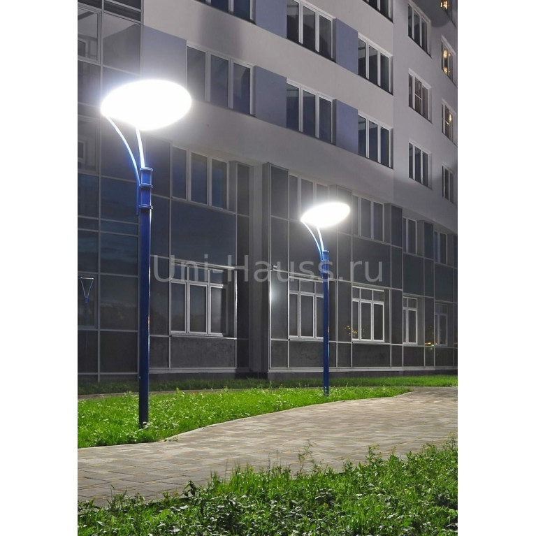 Парковые светильникисерии ВуоксаD-1000мм LED 50W 220V IP65 CRANE