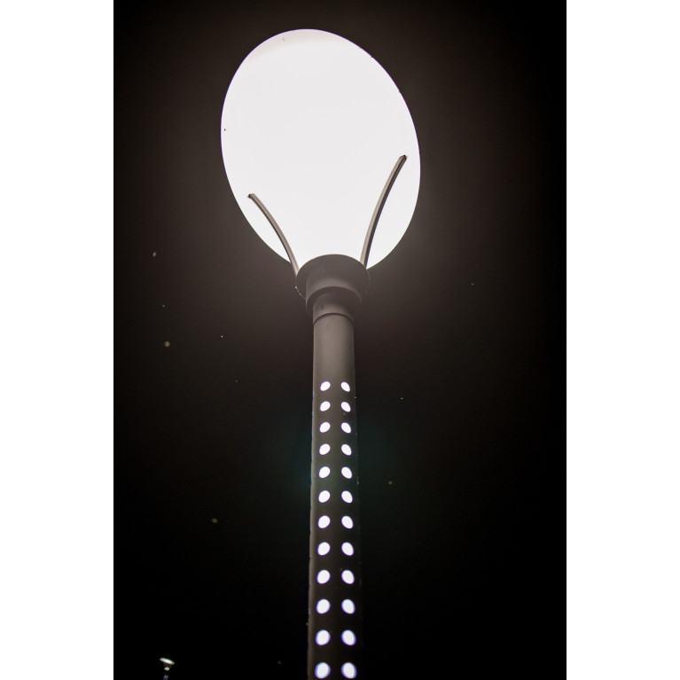 Парковые светильники серии Стрит-25 h-2,6м 220V 30W D159мм CRANE