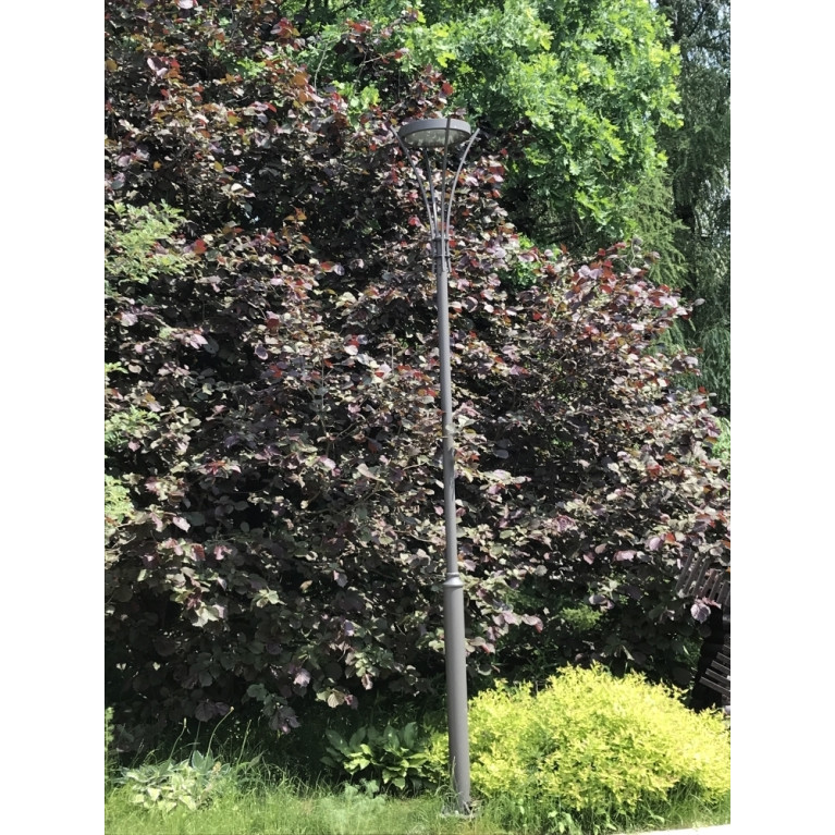 Уличные светильник серии Стрит-80/К4 d-300мм. 50W 220V IP65 CRANE