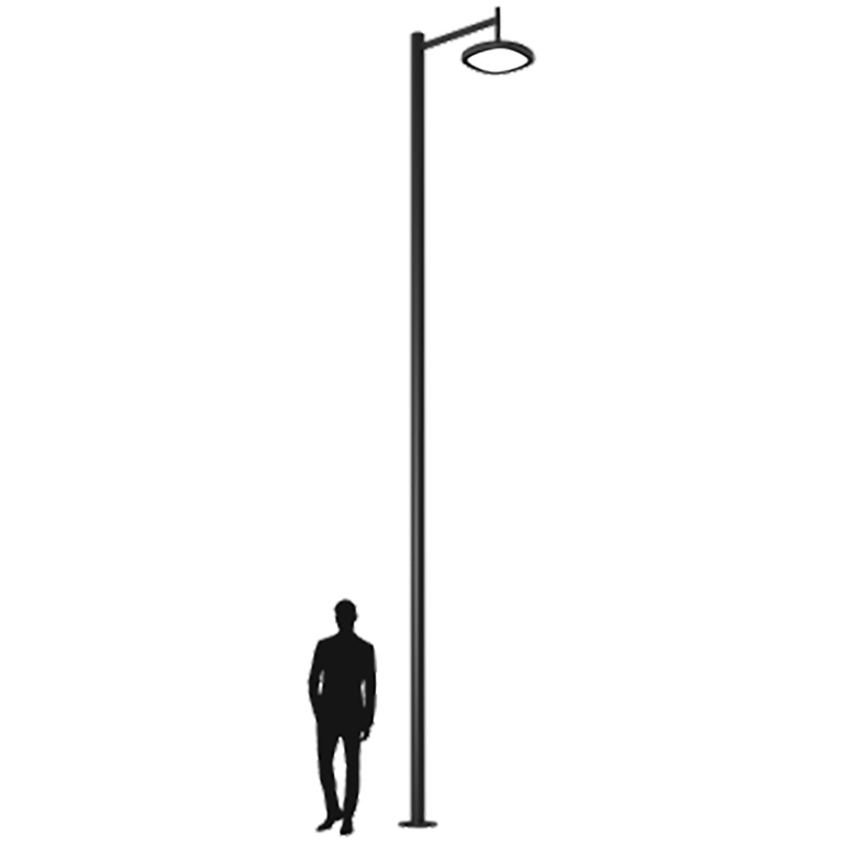 SKYLINE LED 30W DK 827 RAL9005 S-POLE 4M D89 (в комплекте ЗДФ)