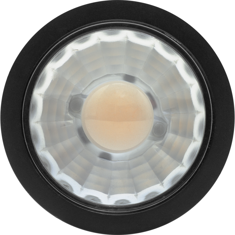 SPLIGHT/R 12W D36 930 BK