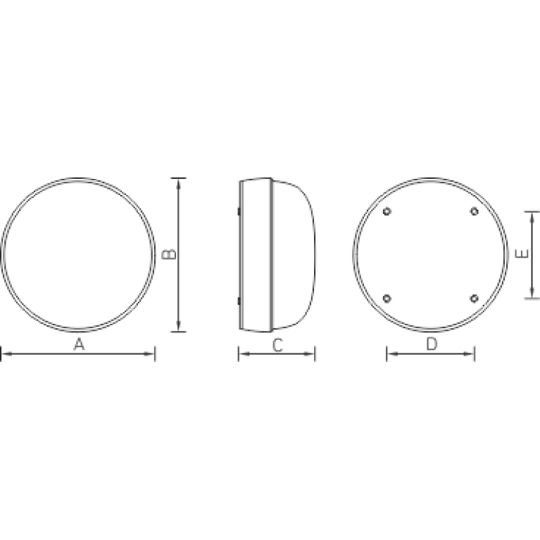TS 100