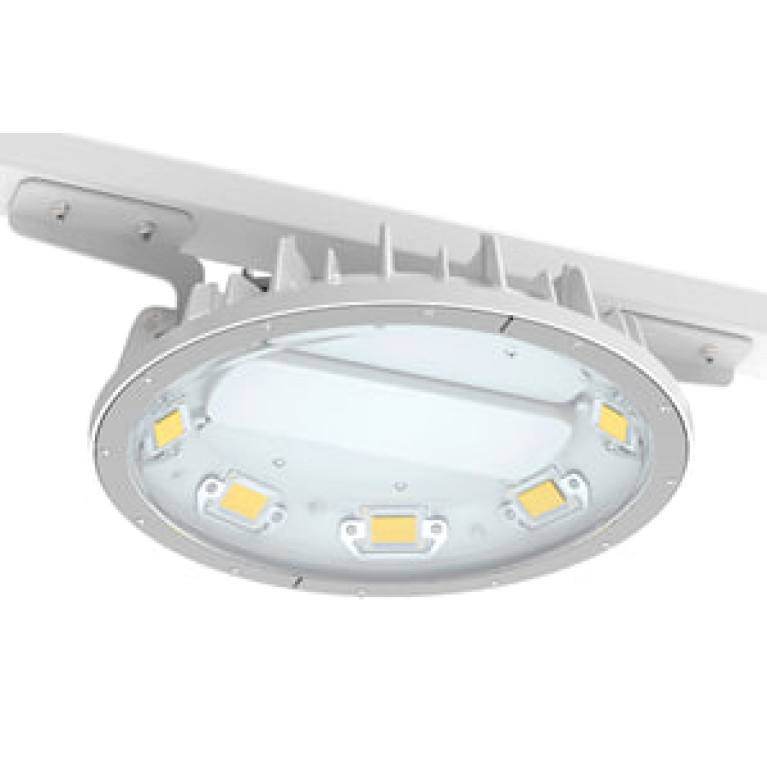 Pandora LED 050L050LZ-120/5000