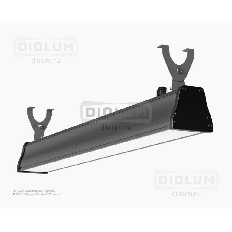 Светодиодные светильники Proffline II 798 мм 08-60/ 60 Вт БАП 2 часа Diolum-PR-IP65-БАП2-2PL0860-5K производства Diolum