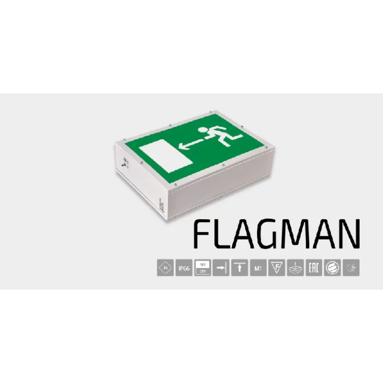 Световой указатель BS-FLAGMAN-53-S1-INEXI2 арт. a16947