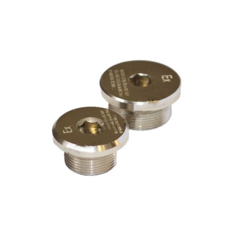 Заглушка круглая 63Рр 2NPT