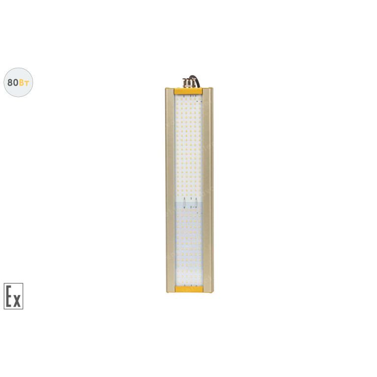 Модуль Взрывозащищенный GOLD, универсальный U-1, 80 Вт, светодиодный светильник